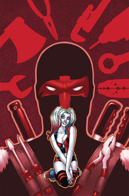 Harley Quinn Vol 2 #27 Cover A Regular Amanda Conner Cover *NM*