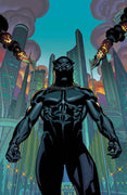 Black Panther Vol 6 #1 CVR A  Brian Stelfreeze NM, Marvel !!! NM