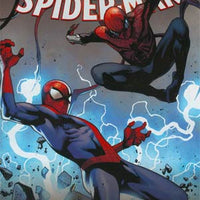 Amazing Spider-Man  # 011 Coipel Cover  NM .
