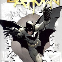 Batman Vol 2 #0 Regular Greg Capullo Cover New 52 ..