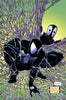 Deadpool Back in Black #5 (of 5) .....